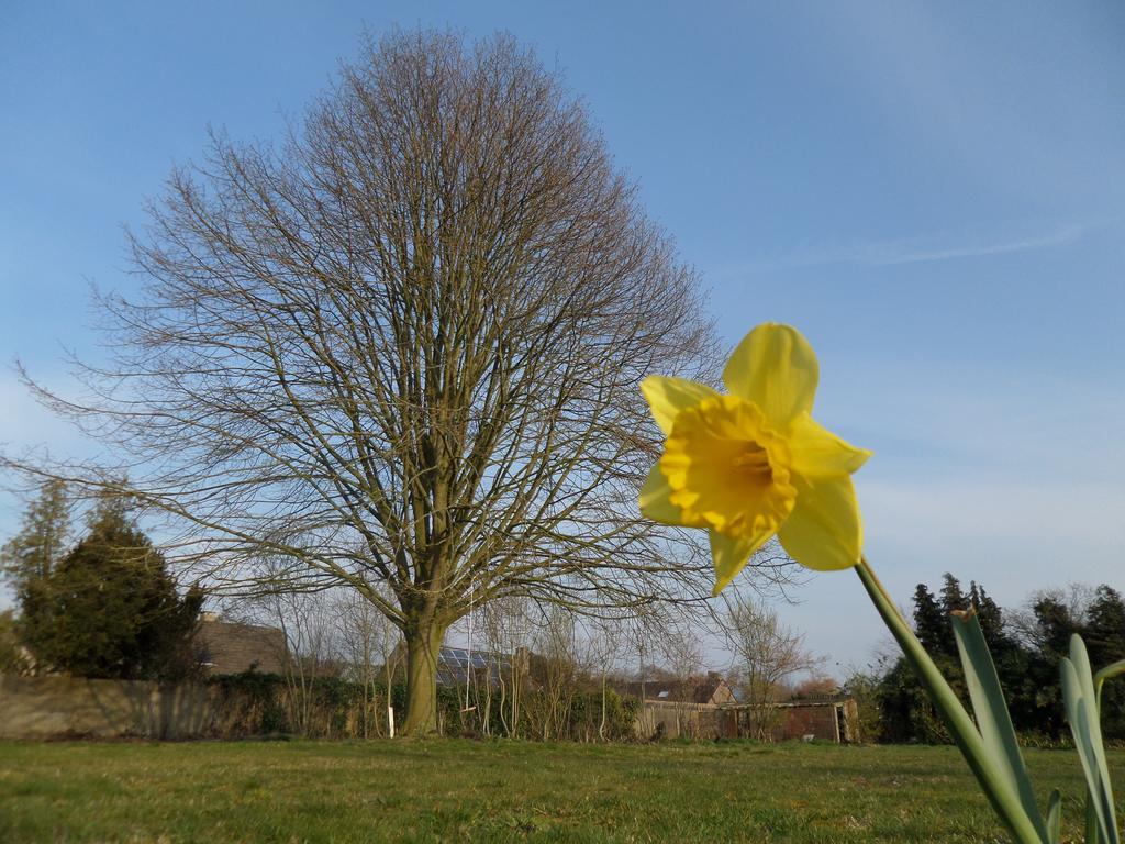 Villa Bijenhof Varsenare Ruang foto