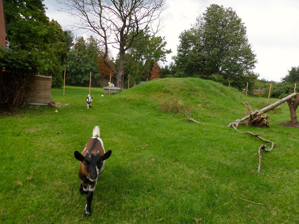 Villa Bijenhof Varsenare Ruang foto